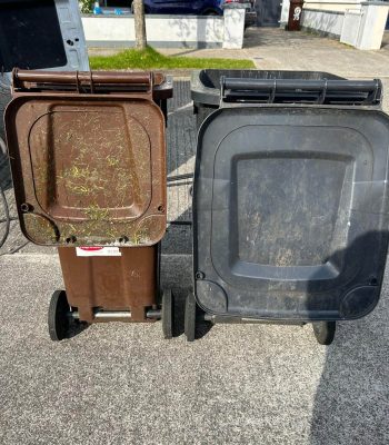 Wheelie Bin Cleaning Kildare